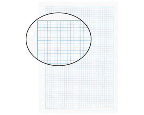 BIELLA Einlageblätter mit Rahmen A4 45144500U weiss,kar. 5mm,4-Loch 100Bl.