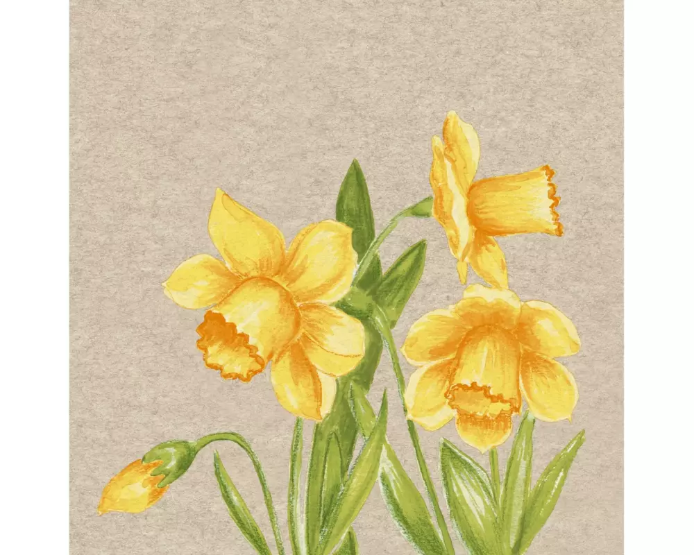 Paper + Design Papierservietten Daffodil 33 cm x 33 cm, 25 Stück