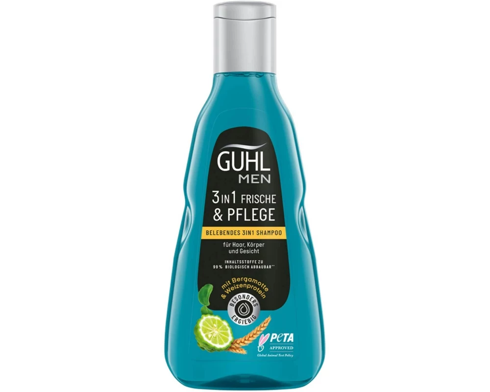Guhl Men 3in1 Frische & Pflege 250 ml