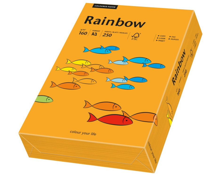 RAINBOW Papier orange/24 A3 88042440 FSC, 160g 250 Blatt