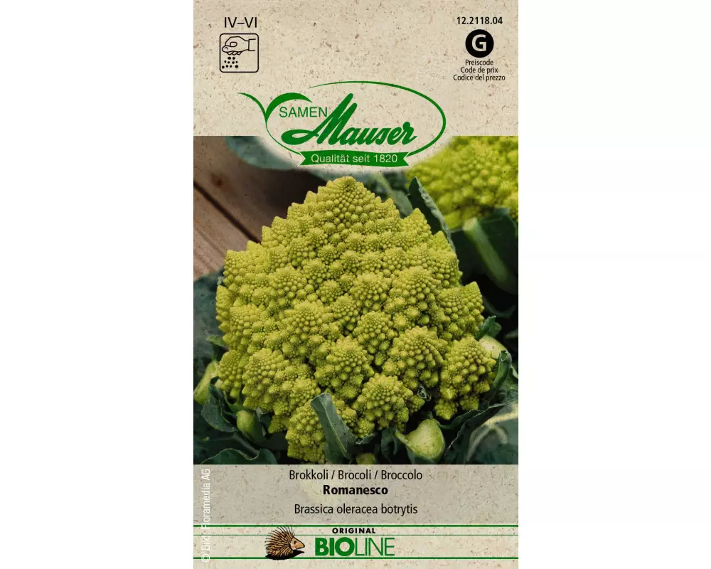 Samen Mauser Samen BIO Brokkoli Romanesco