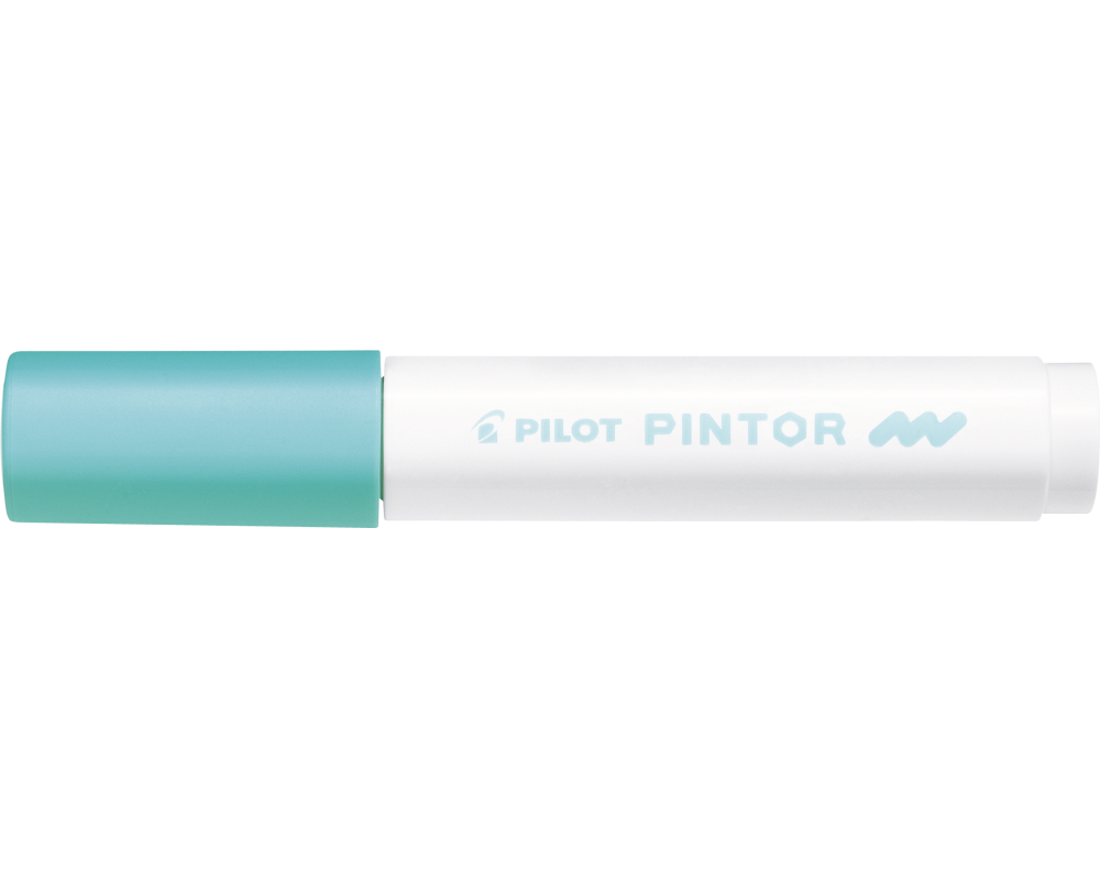 PILOT Marker Pintor M SW-PT-M-PG pastell grün