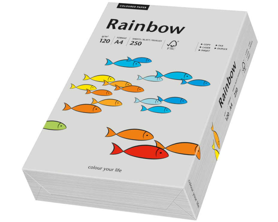RAINBOW Papier grau/96 A4 88042810 FSC, 120g 250 Blatt
