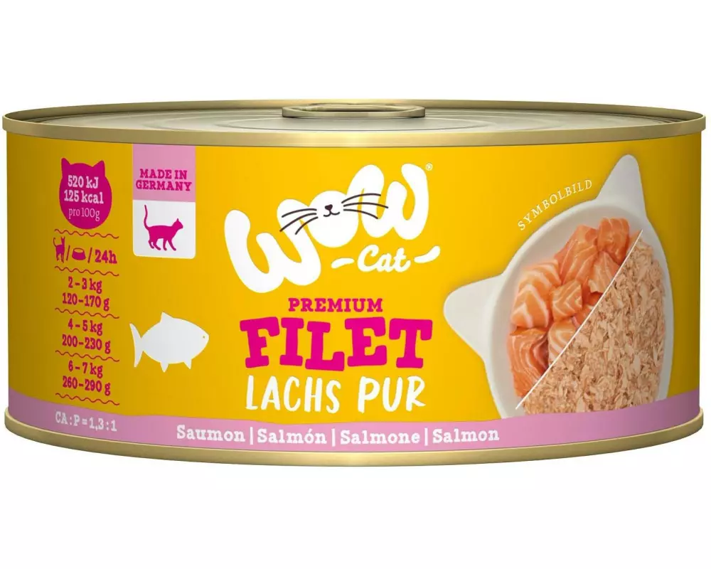 WOW Nassfutter Lachsfilet 70 g