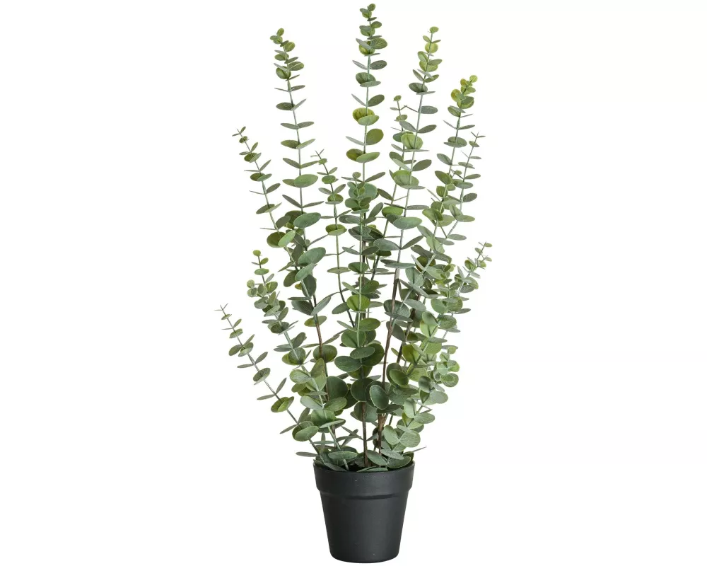 Botanic-Haus Kunstpflanze Eukalyptus 76 cm