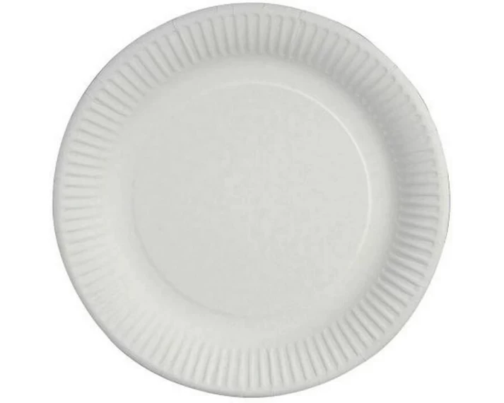 Papstar Einwegteller PURE 23 cm 100 Stück