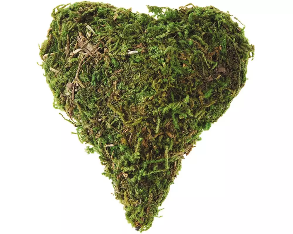 Opiflor Moosherz Grini Ø 7.5 cm