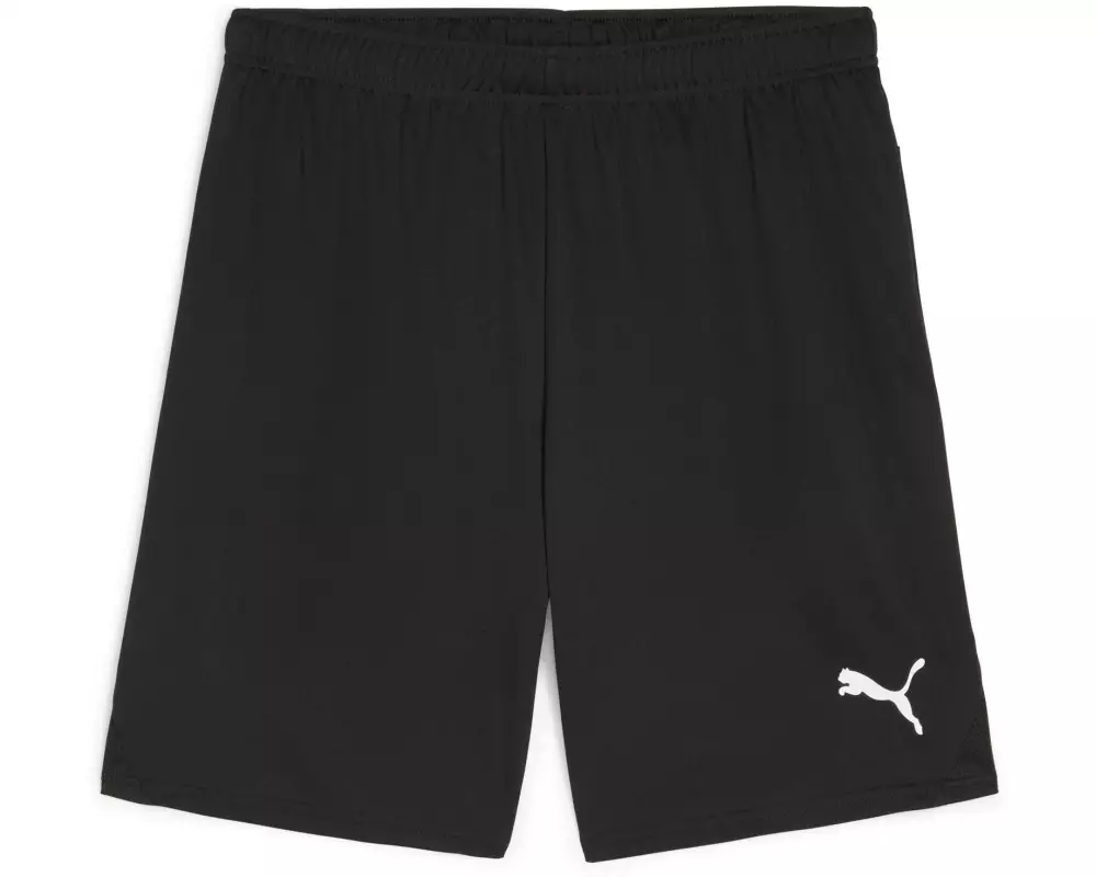PUMA Shorts teamGOAL L, Schwarz