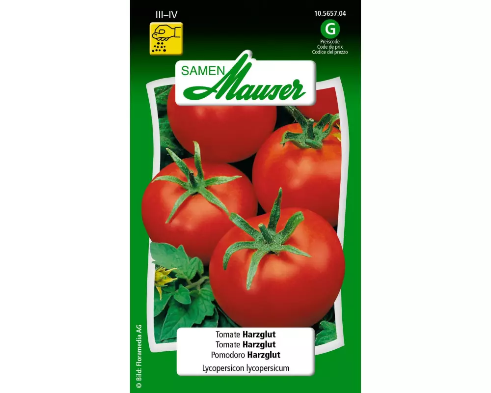 Samen Mauser Samen Tomate Harzglut