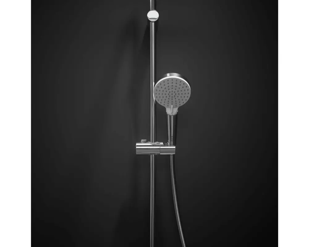 hansgrohe Handbrause Crometta 100 Vario EcoSmart