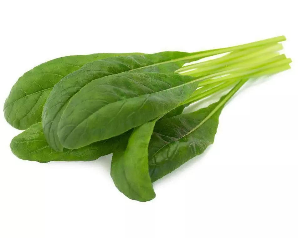 Click and Grow Samen Mibuna