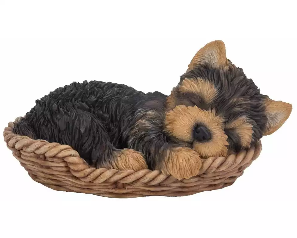Vivid Arts Dekofigur Yorkshire Terrier Welpe im Körbchen