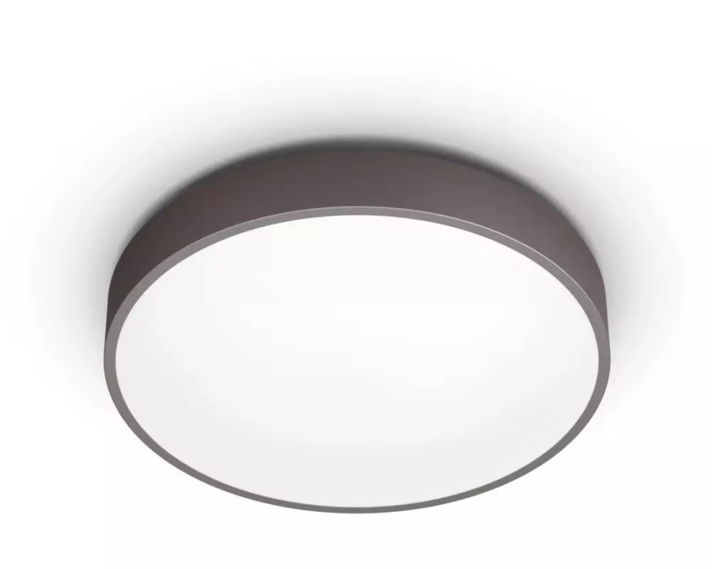 Philips Deckenleuchte CL800 2700 K - 6500 K, Braun