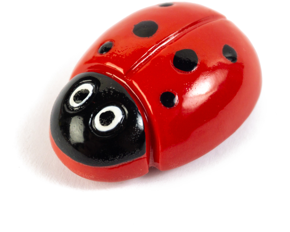 ROOST Magnet Marienkäfer 4x3cm PA-M2476 rot, schwarz