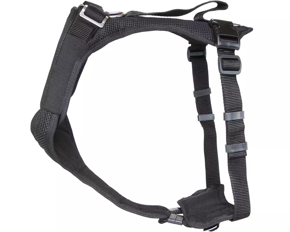 Grossenbacher Geschirr Vary, Schwarz