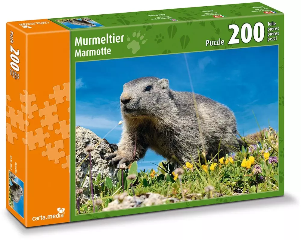 Carta.Media Puzzle Murmeltier auf Alpwiese