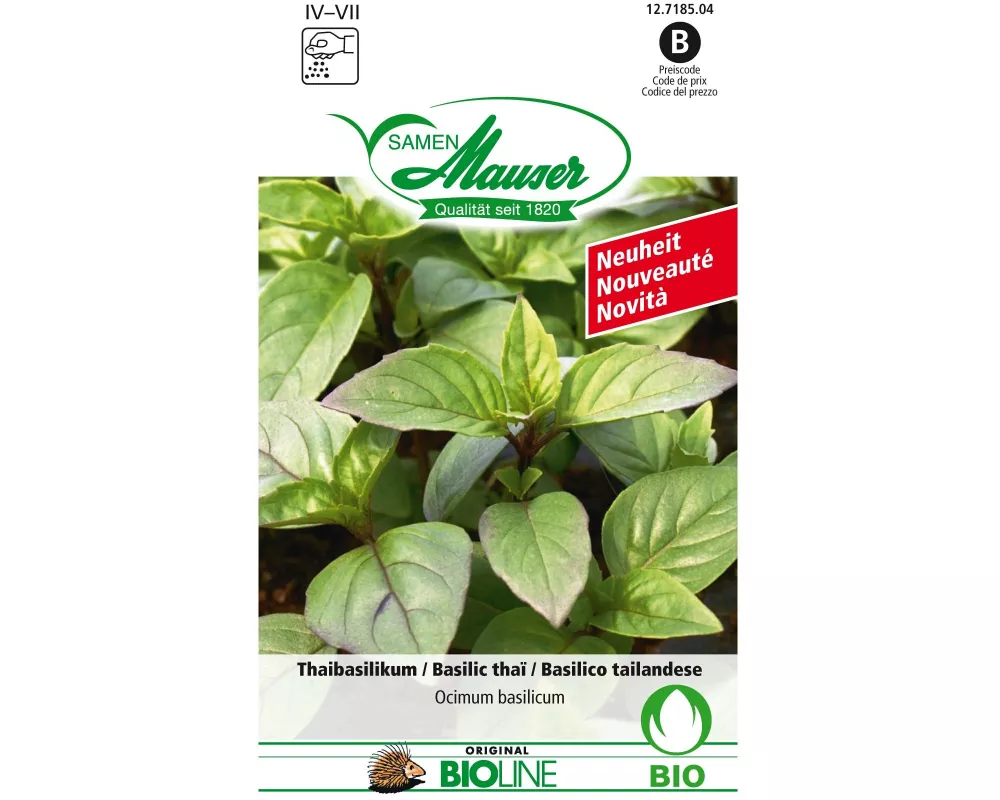 Samen Mauser Samen Thaibasilikum