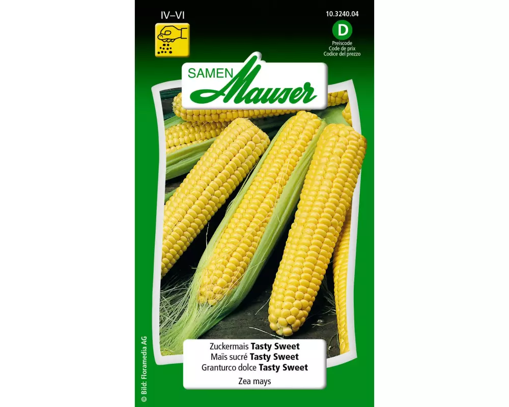 Samen Mauser Samen Zuckermais Tasty Sweet