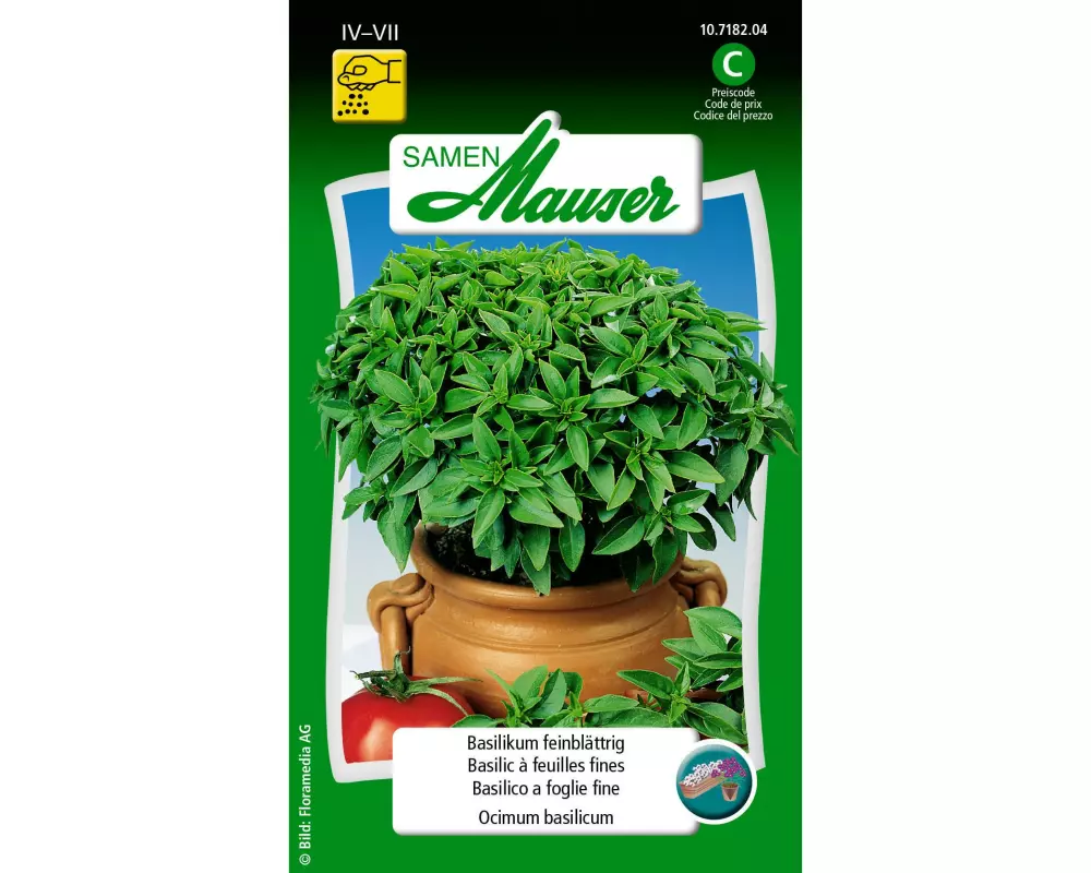Samen Mauser Samen Basilikum feinblättrig
