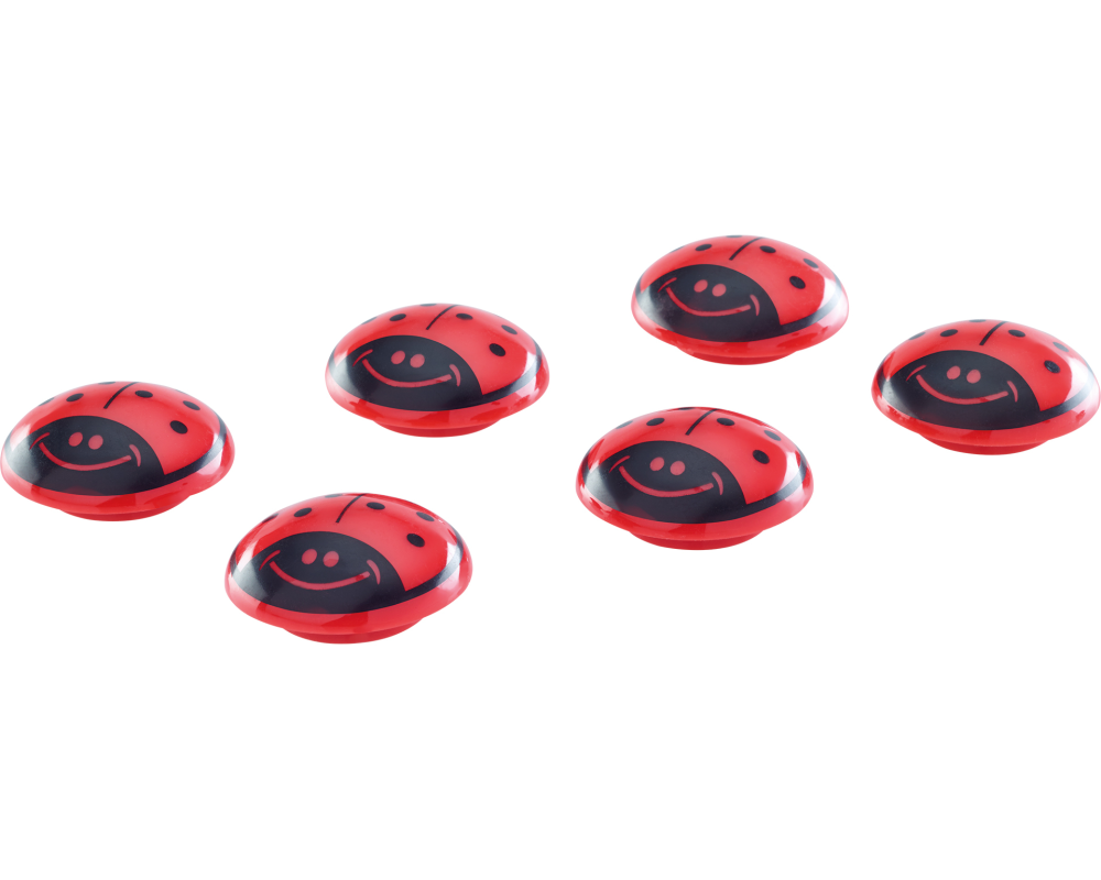 MAGNETOPLAN Magnete Marienkäfer 16674 30mm 6 Stk.