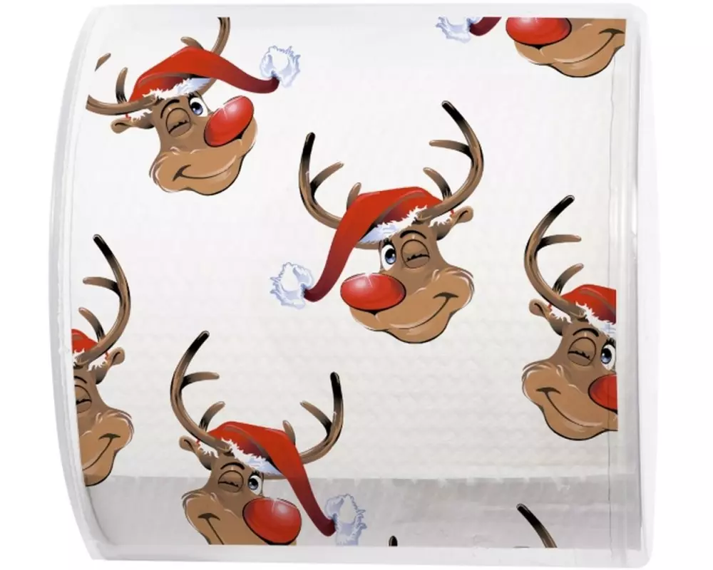 Paper + Design Toilettenpapier Rudolph