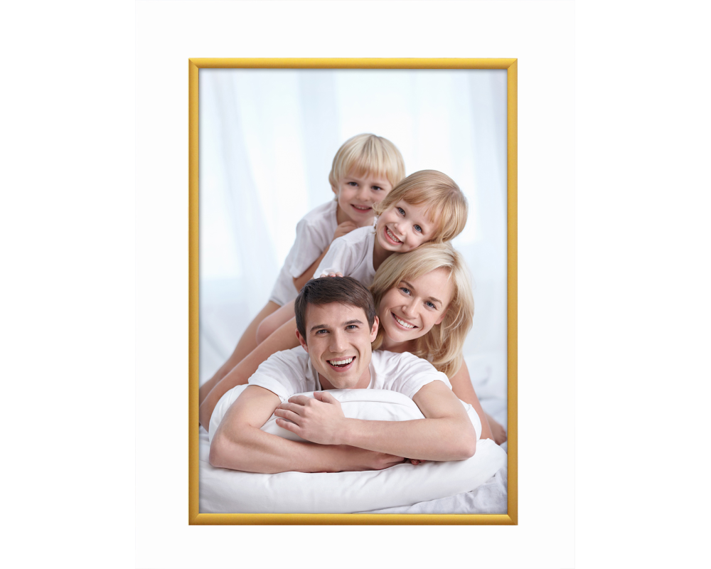 DEBEX Wechselrahmen 21×29,7cm 900012-210X2 Alu gold