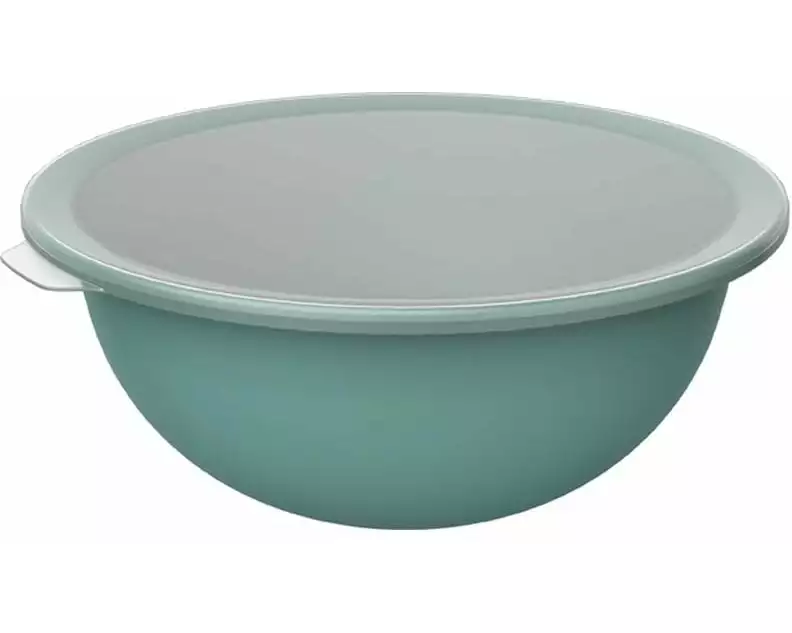 Rotho Schüssel Caruba 30.5 cm, Mistletoe Grün