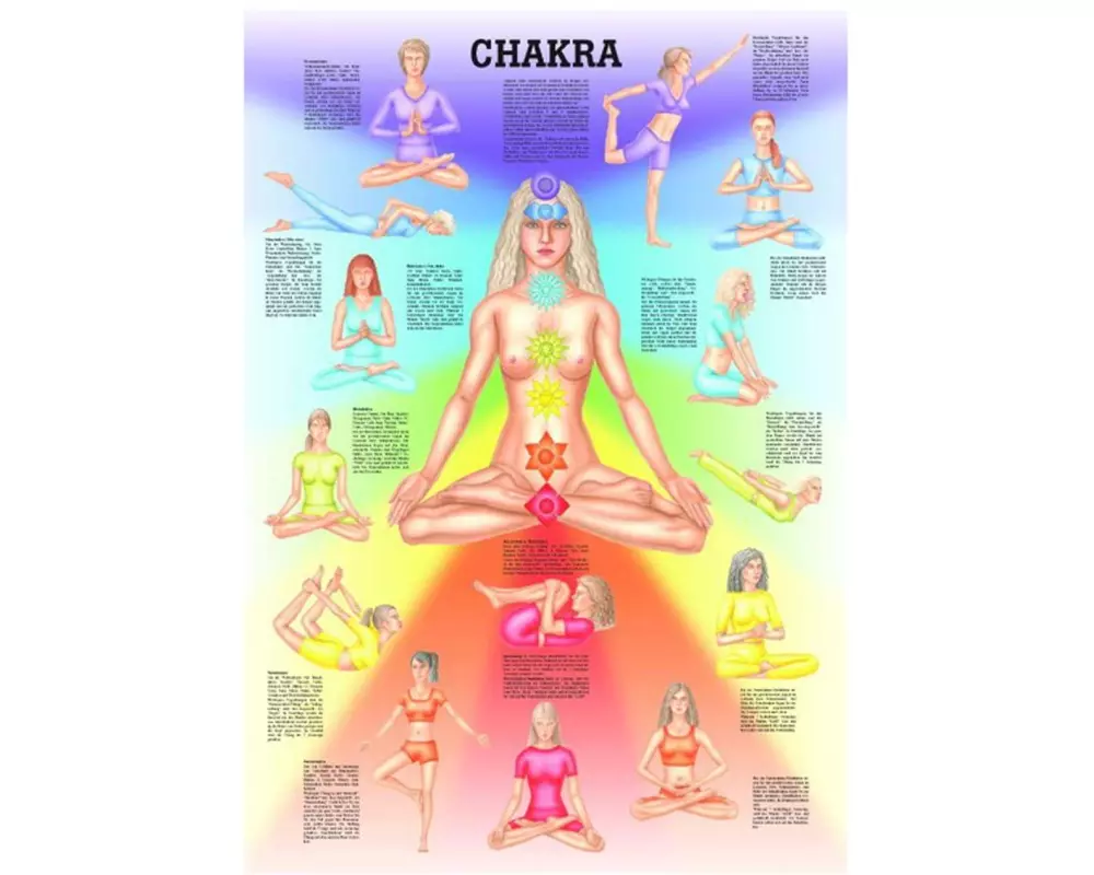 Rüdiger Anatomische Lehrtafel Chakra