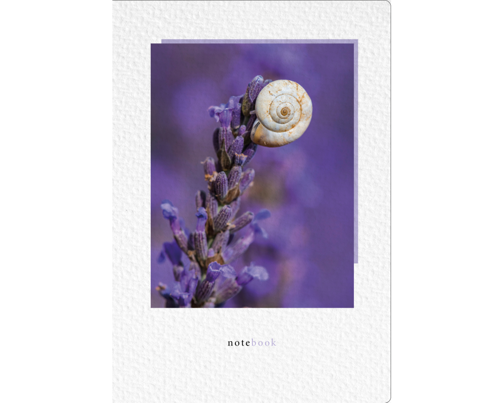 NATUR VERLAG Notizbuch Crushpaper A5 11003N Lavendel Foto, dotted