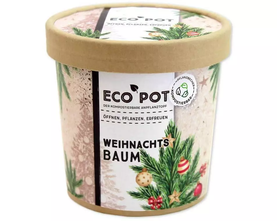 Feel Green EcoPot Weihnachtsbaum