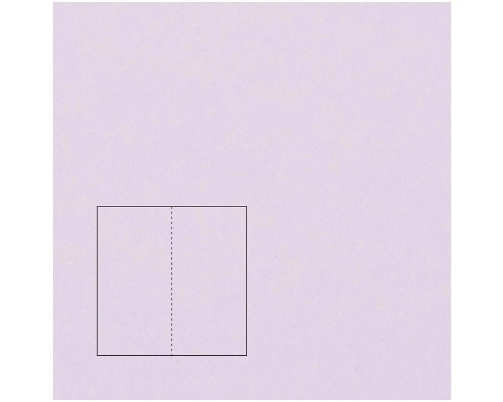 Rico Design Paper Poetry Essentials DL Klappkarte lang A6, Flieder