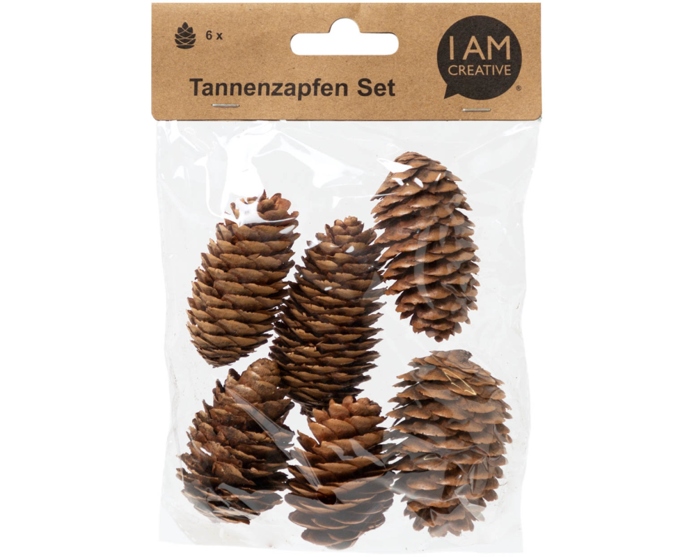 I AM CREATIVE Tannenzapfenset 6102.87 länglich 6 Stück
