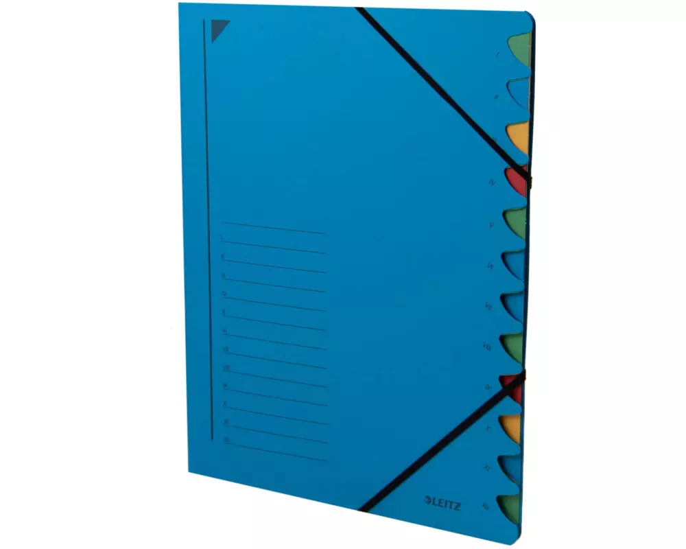 Leitz Ordnungsmappe Ordnungsmappe Blau, 12 Fächer