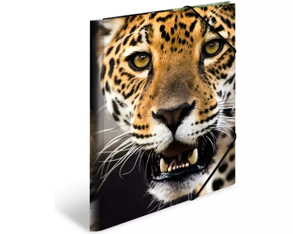 HERMA Gummibandmappe A4 Leopard, Polypropylen, mit Innendruck