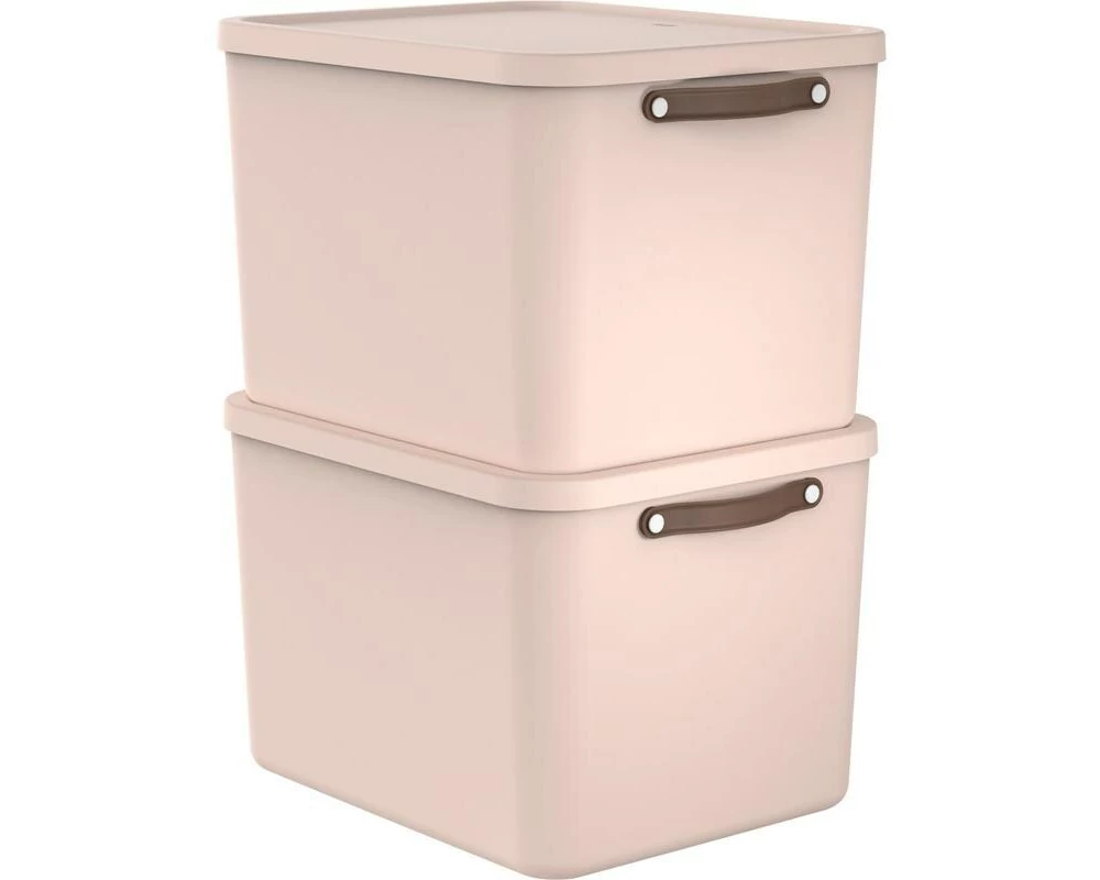 Rotho Aufbewahrungsbox MALOJA 55 l, Pink, 2 Stück
