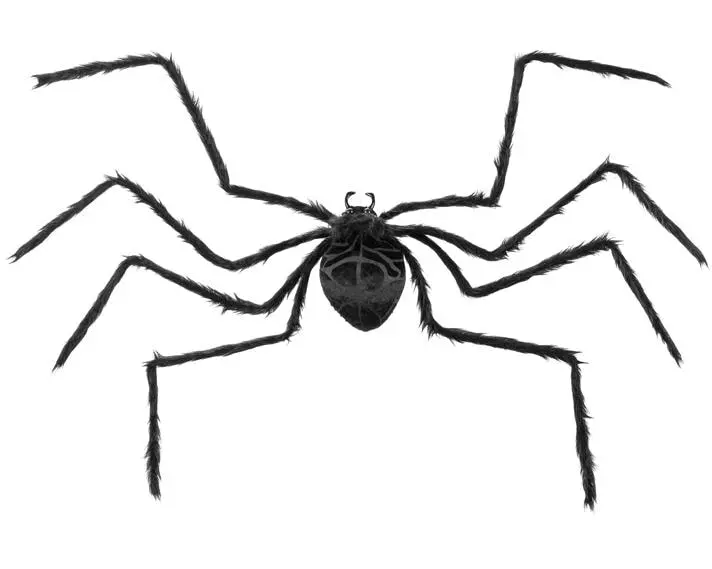 Partydeco Halloweenfigur Spinne 103 x 75 x 9 cm