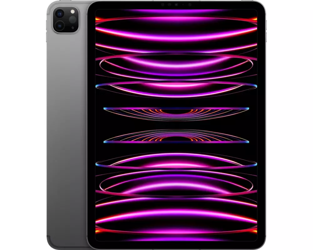 Apple iPad Pro 11" 2022 M2 Cellular 2000 GB Grau
