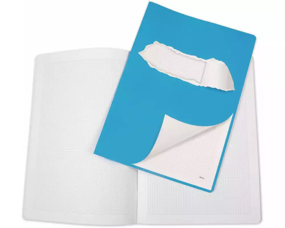 ELCO Schulheft 4 mm kariert mit Rand A4