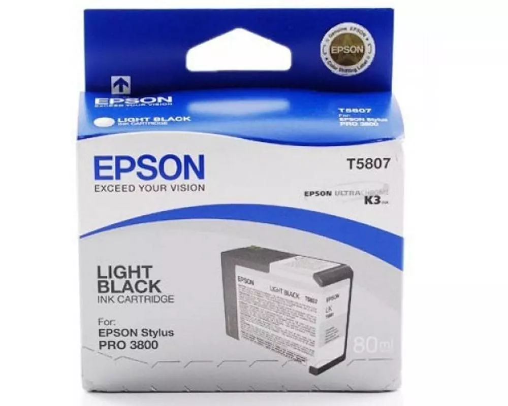 Epson Tinte Epson C13T580700 Light Black