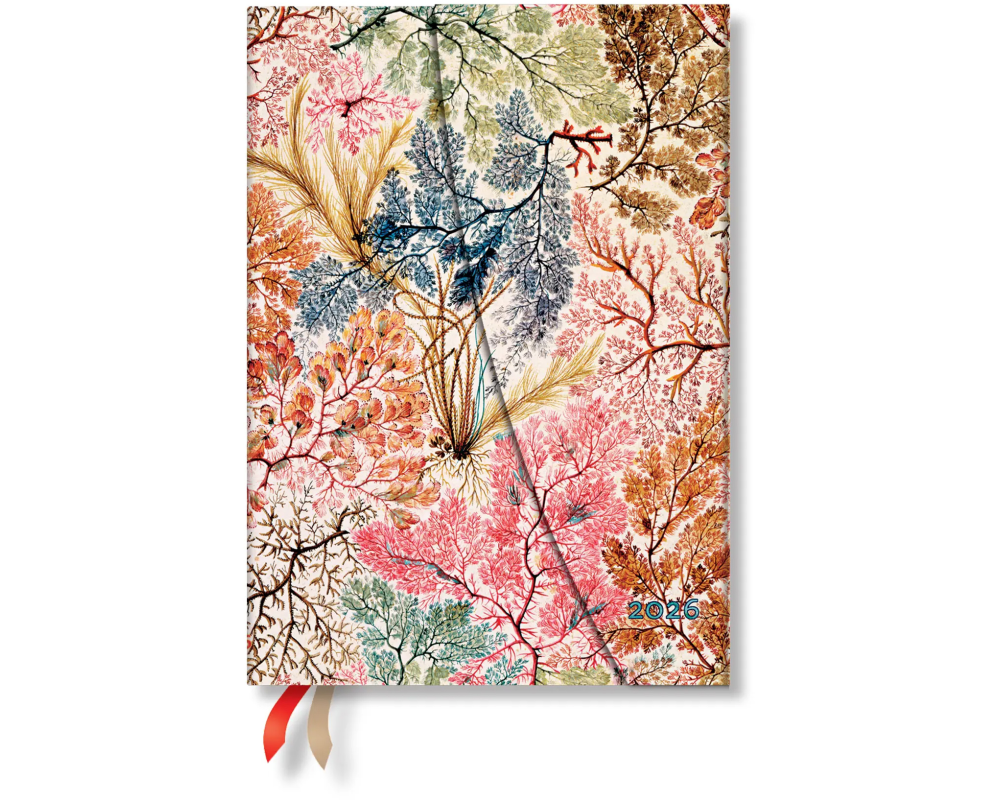 PAPERBLANKS Agenda Anemone 2026 DD0600-9 1W/2S VER Midi HC DE 13x18cm