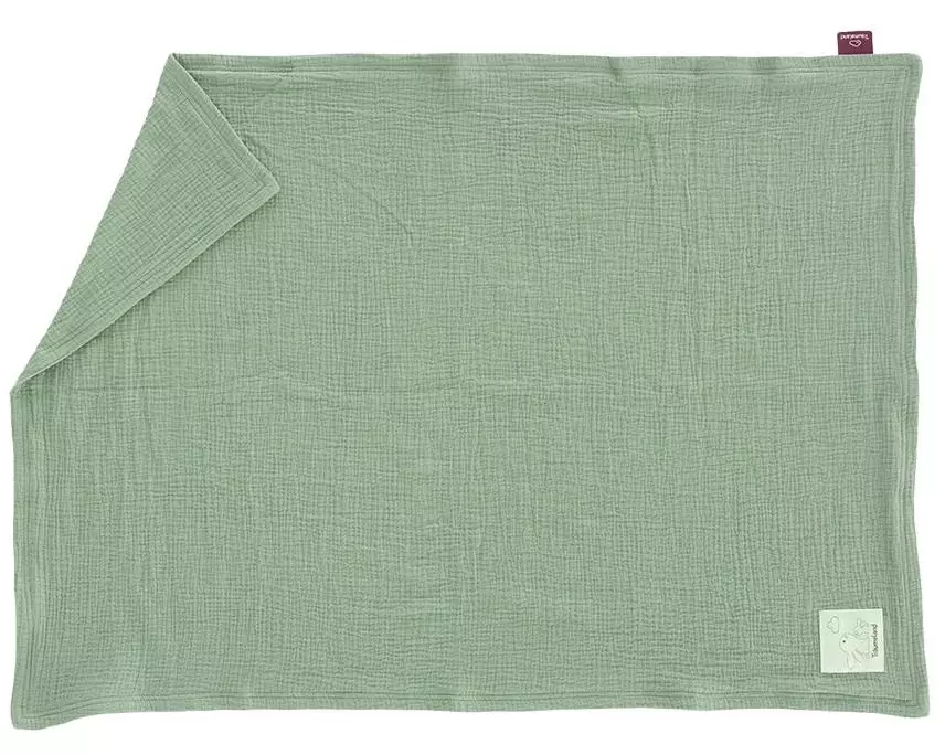 Träumeland Kuscheldecke salbei grün 75 x 100 cm