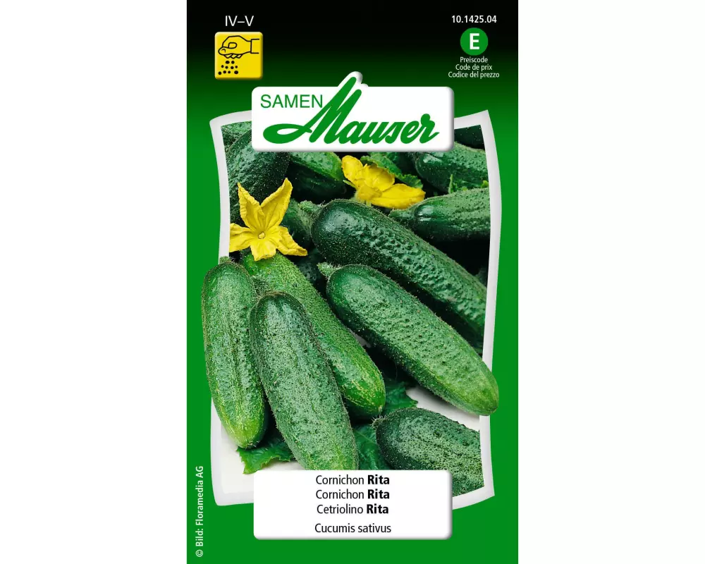 Samen Mauser Samen Cornichon Rita