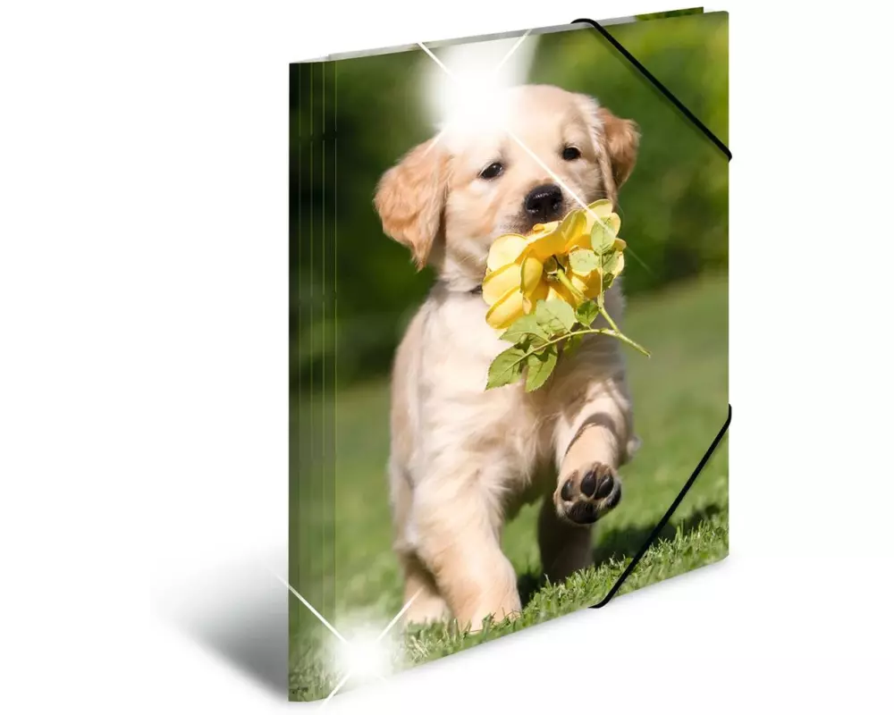 HERMA Gummibandmappe A3 Hunde, Polypropylen, mit Innendruck