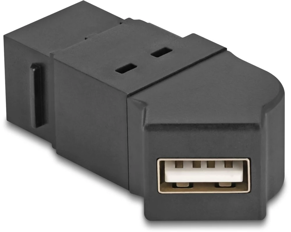 Delock Keystone-Modul USB 2.0 Typ-A zu Typ-A Buchse 45°