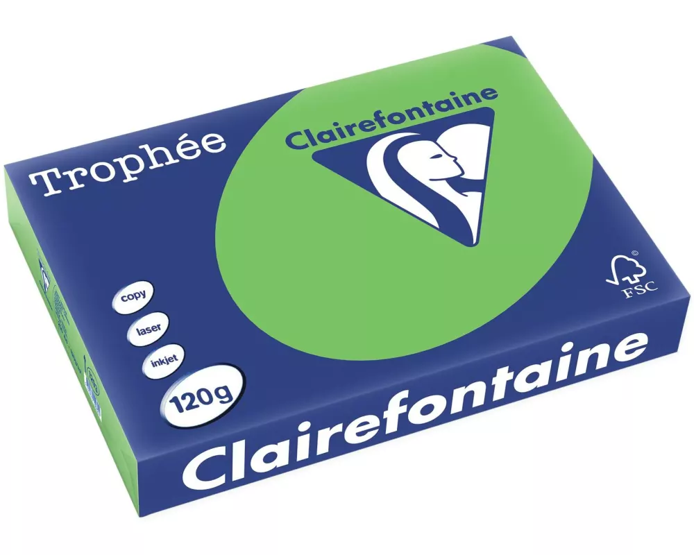 Clairefontaine Kopierpapier Trophée Colored Copy FSC A4, Grün, 120 g/m²