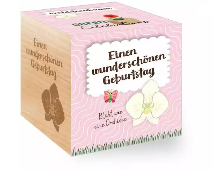 Feel Green Green Celebrations Orchideenbaum