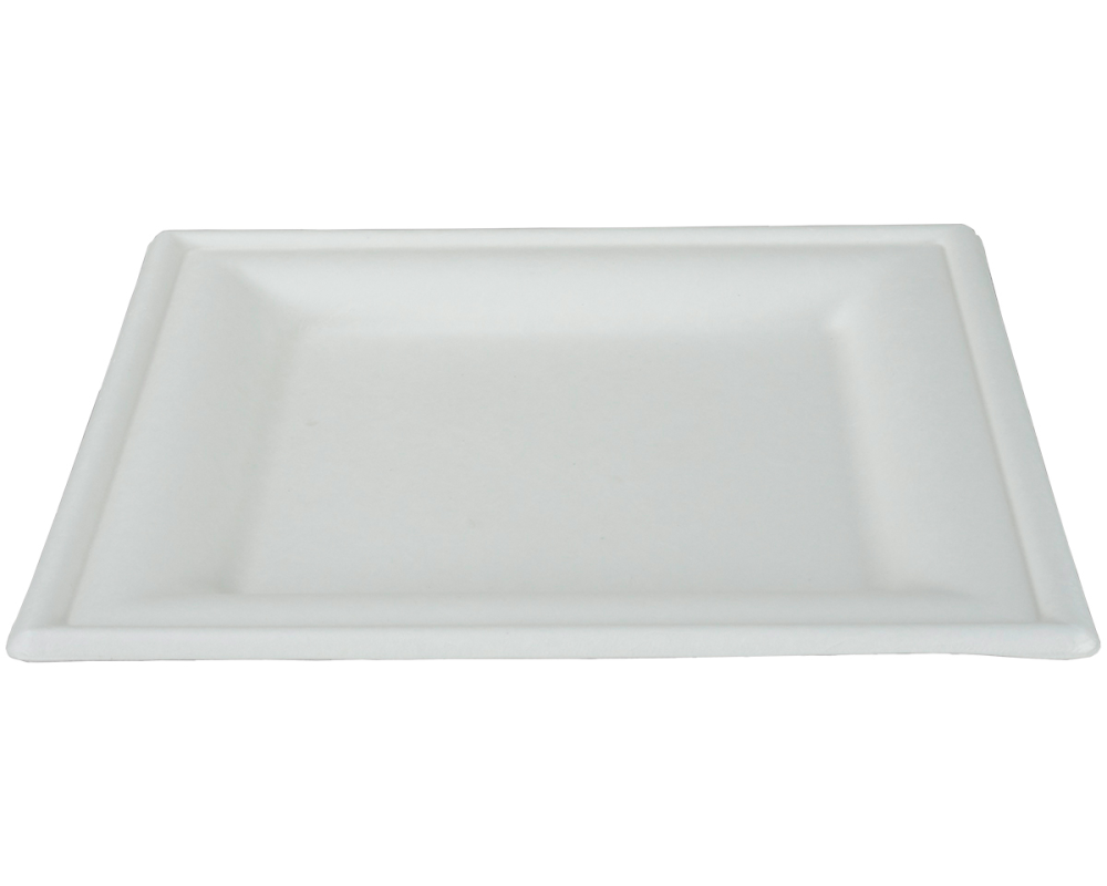 EJS Teller aus Bagasse 20x20cm 3142.2009 50 weiss 50 Stk.