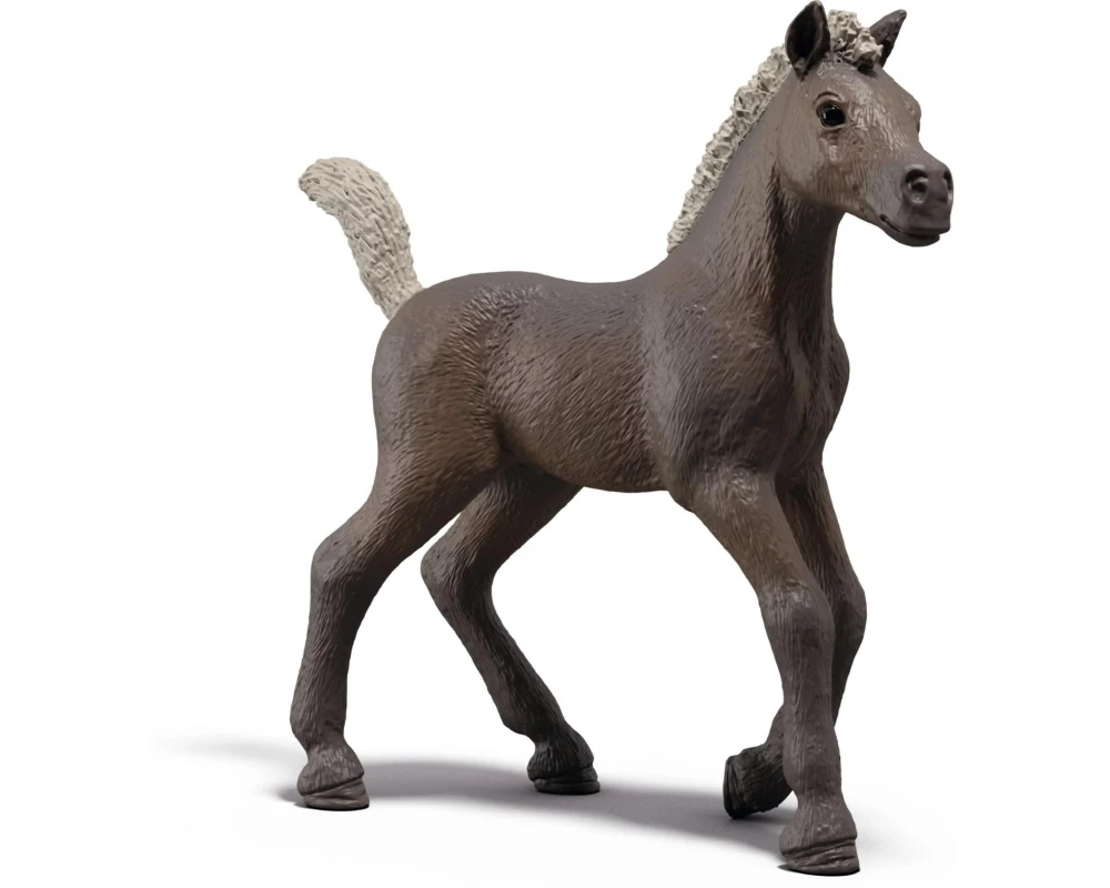 Schleich Sammelfohlen Darcy