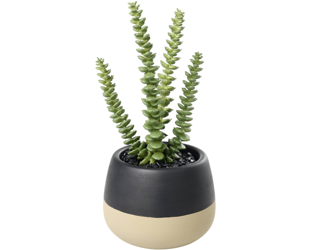 EGLO Kunstpflanze 20cm 428494 grün, im Topf