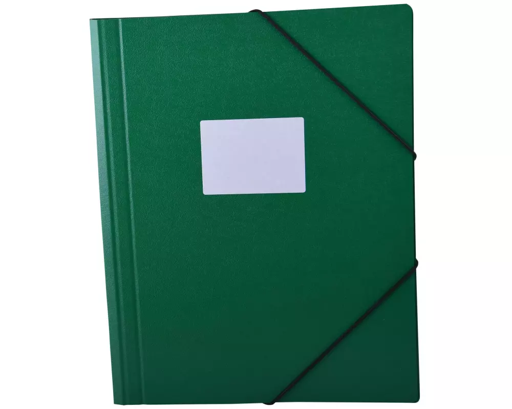office focus Gummibandmappe A4 mit Etikette Grün